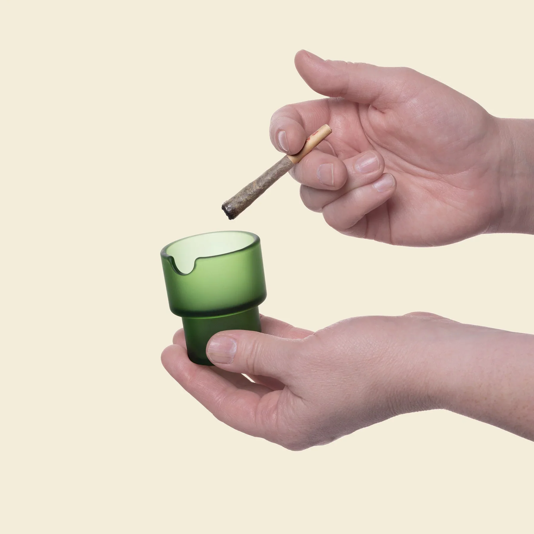 NWTN Home Flower Pots AshTray Set (Plantasia) - Image 5