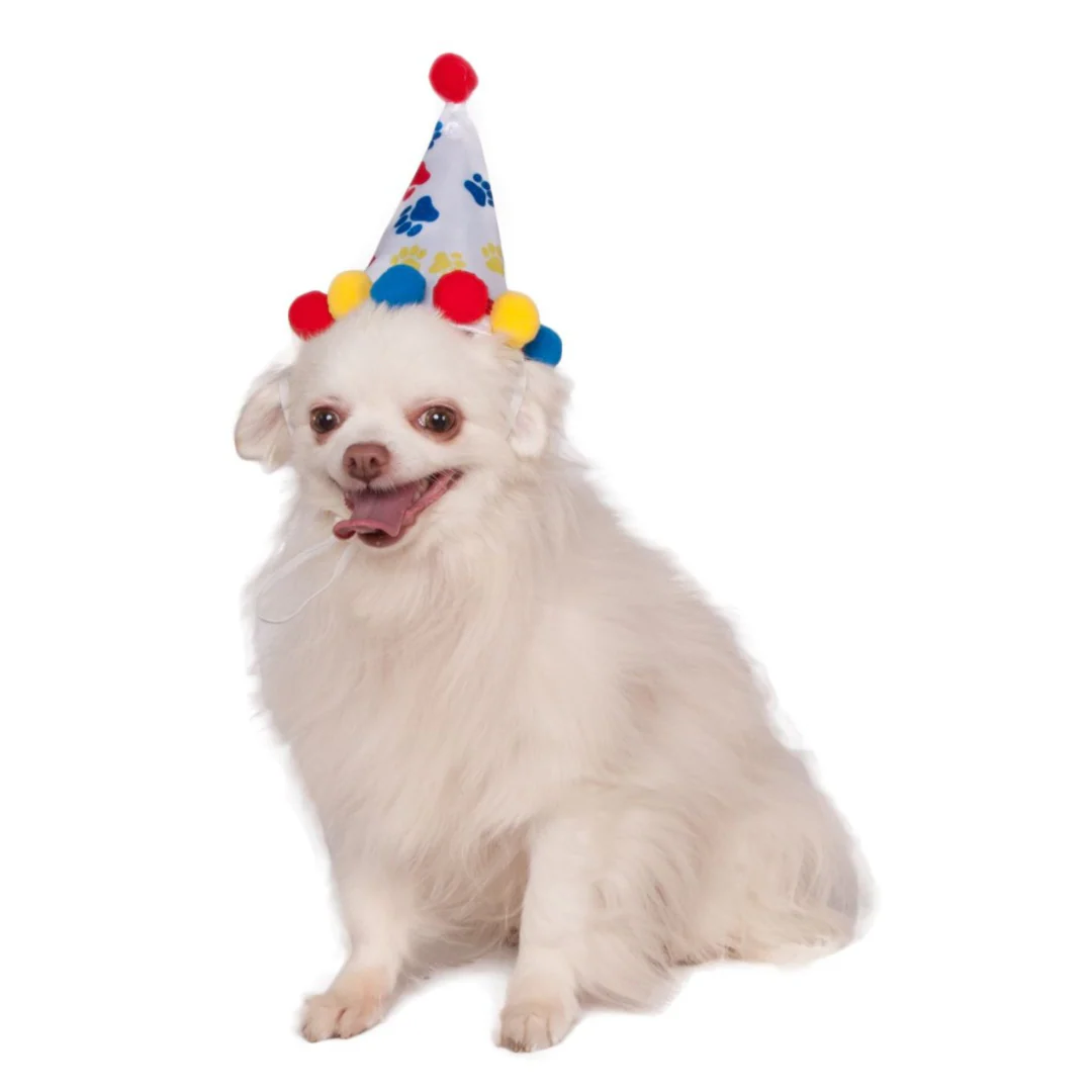 Pet Paw Print Birthday Hat