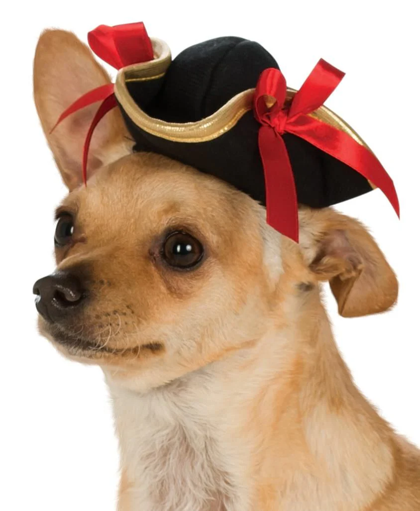 Pet Pirate Girl Hat