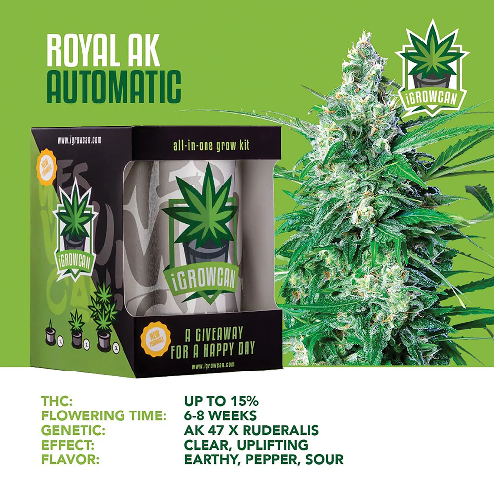Royal AK Automatic iGrowCan - All in One Grow Kit - Image 3