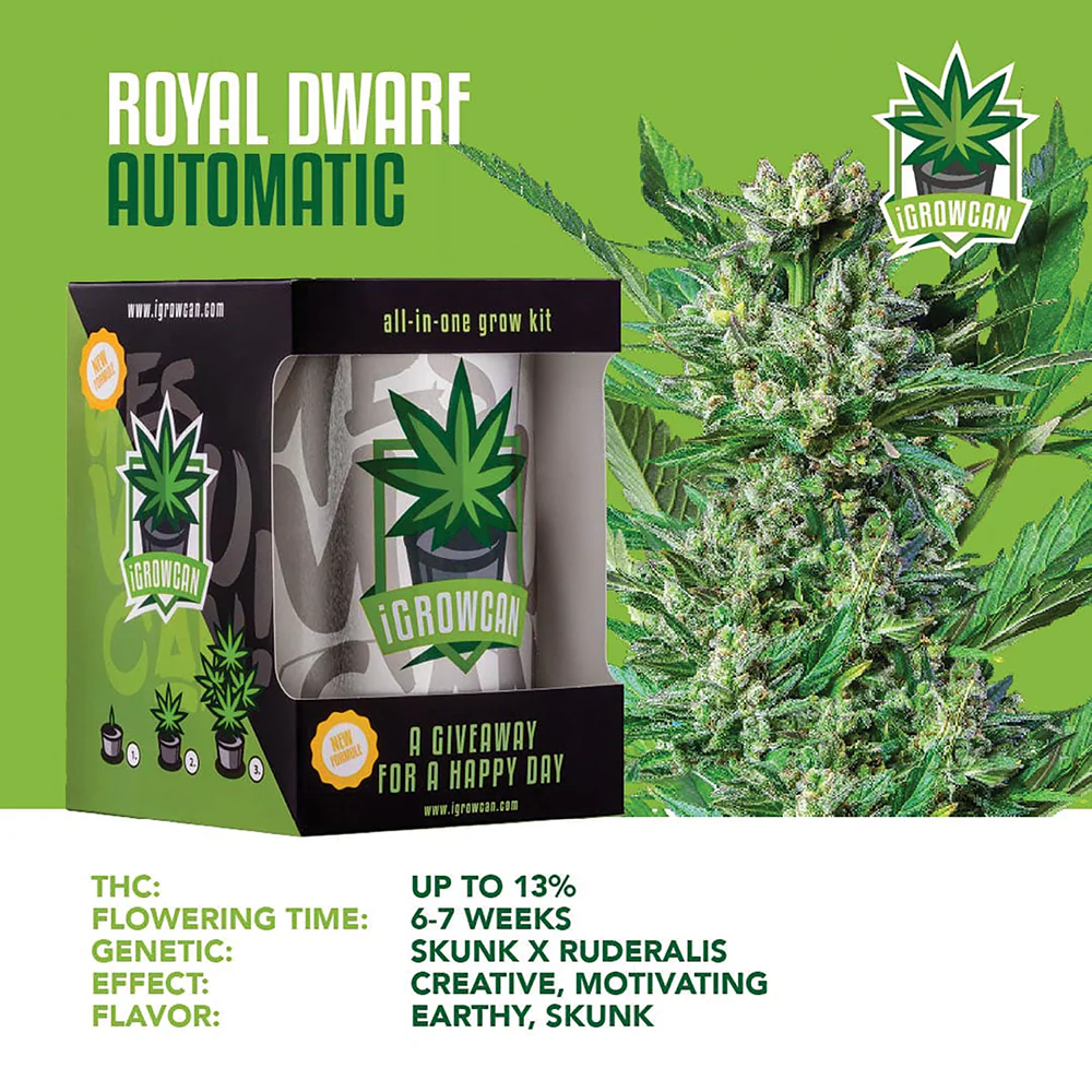Royal Dwarf Automatic iGrowCan - All in One Grow Kit - Image 3