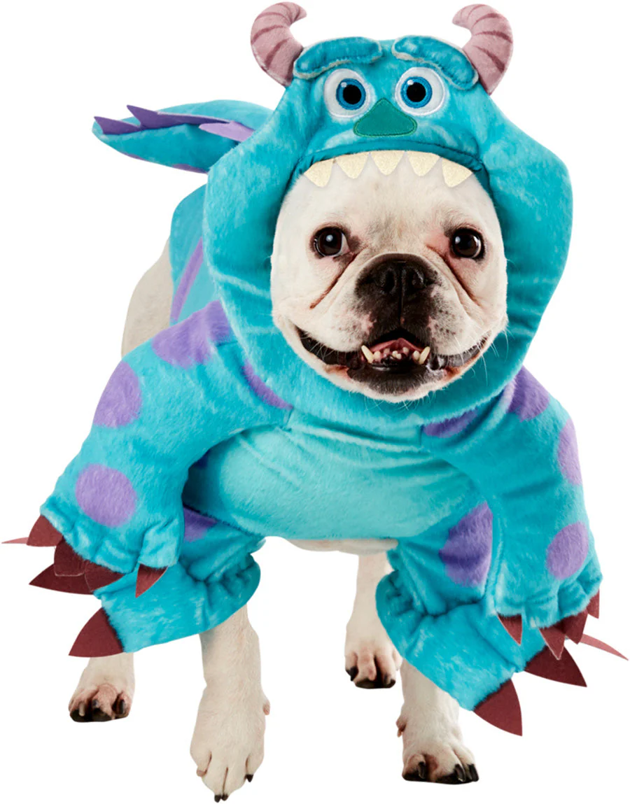 Sully (Monster's Inc) Costume